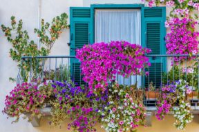 balcon florido