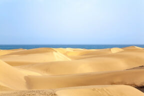 Dunas de Maspalomas