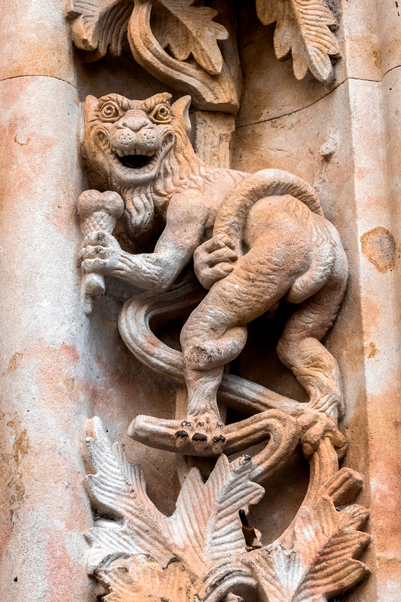 ¿Dónde está el astronauta de la Catedral de Salamanca? Este y otros secretos 2 Dónde está el astronauta de la Catedral de Salamanca y el Dragon de la Catedral de Salamanca