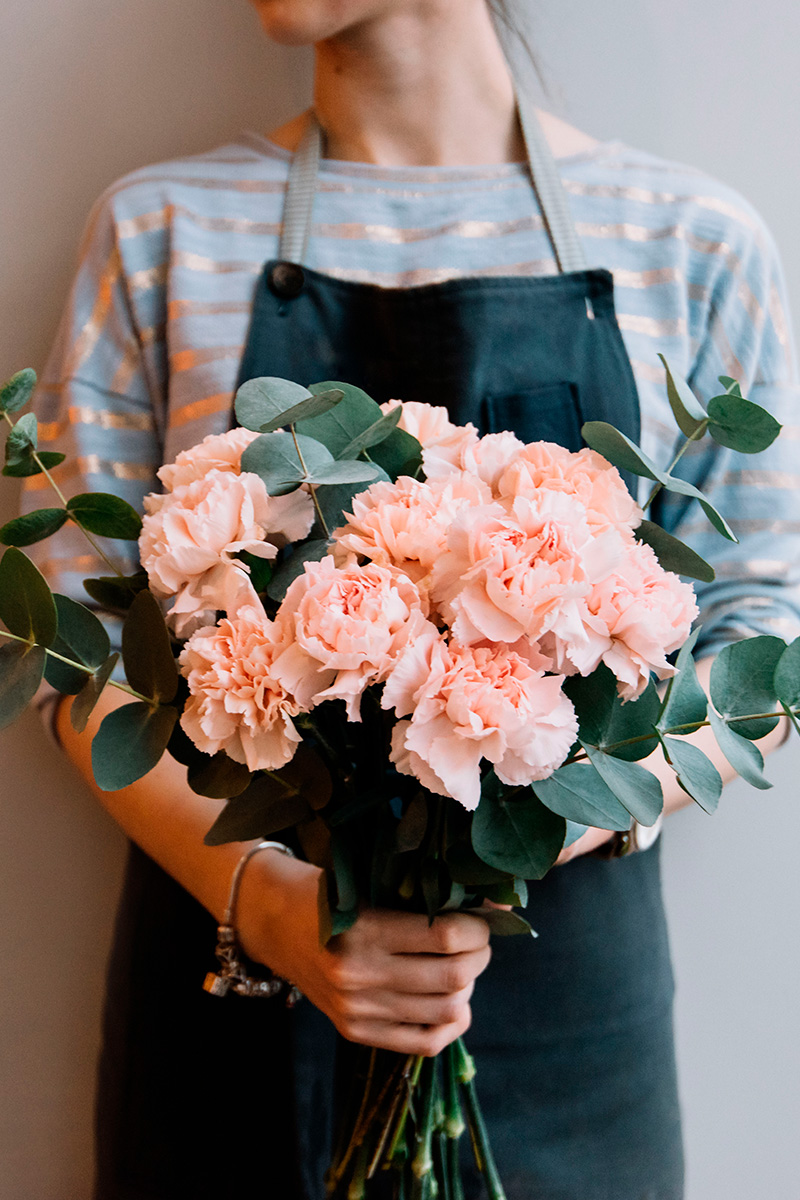 5 plantas que traen mala suerte y que nunca deberían regalarse a quien compra una casa 4 5 plantas que traen mala suerte y que nunca deberian regalarse a quien compra una casa 4