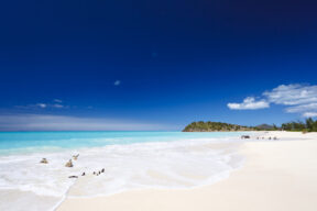 Descubre Antigua, la isla de las 365 playas