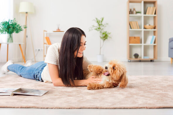 Mascota en un piso de alquiler: ¿Qué dice la ley?