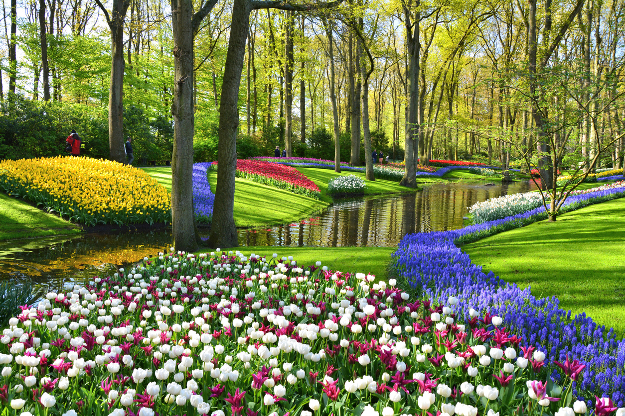 Keukenhof, Lisse