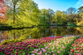 Keukenhof
