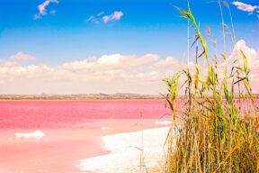 Por qué son rosas las Salinas de Torrevieja