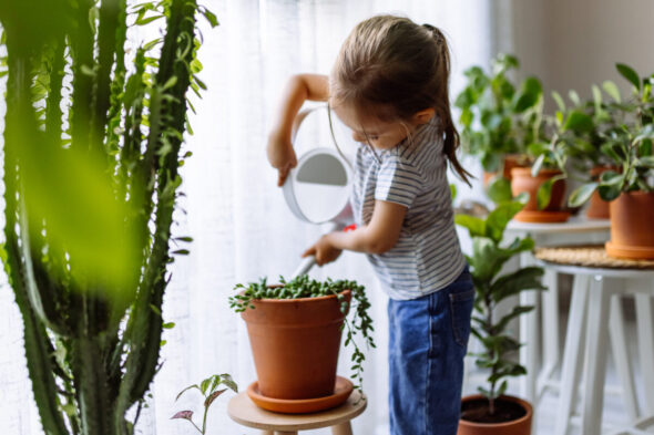 Cuál es el mejor agua para regar las plantas