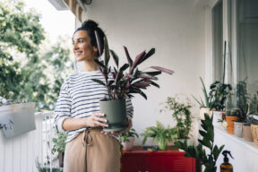 Plantas para insonorizar el balcón: cuáles elegir para tu casa