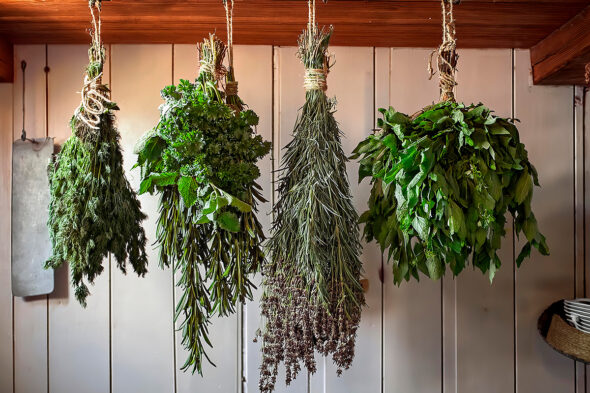 Cómo secar plantas aromáticas en casa: guía paso a paso