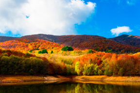 Otoño en el Montseny: 5 rutas para disfrutar