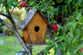 casita para pájaros