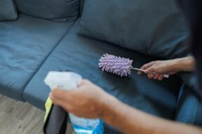 alguien limpia el sofá
