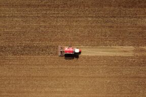 campo