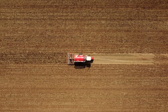 campo